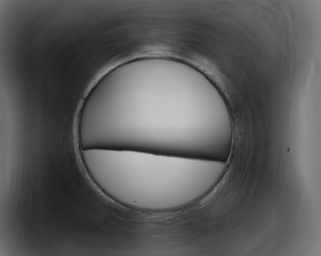 X0000098051382200803280721