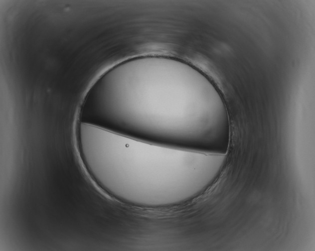 X0000098051383200803280721
