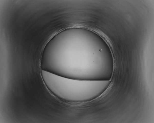 X0000098051385200803280721