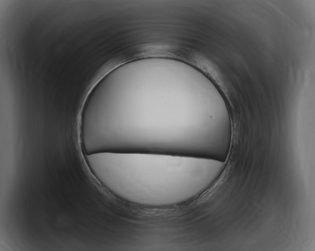 X0000098051386200803280721