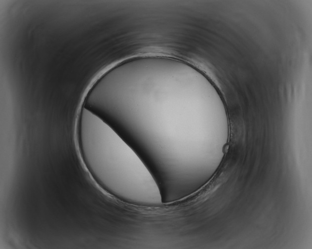 X0000098051387200803280721