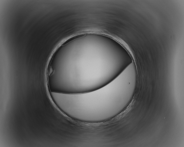 X0000098051389200803280721