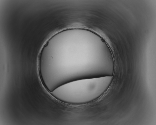 X0000098051390200803280721