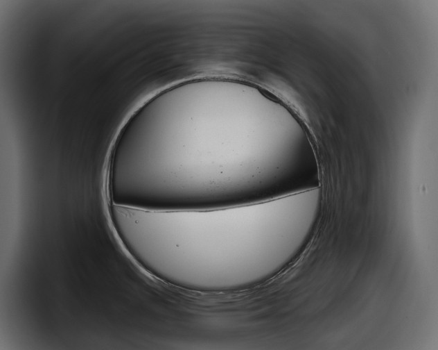 X0000098051391200803280721