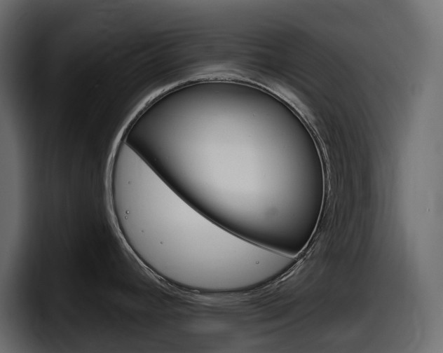 X0000098051392200803280721