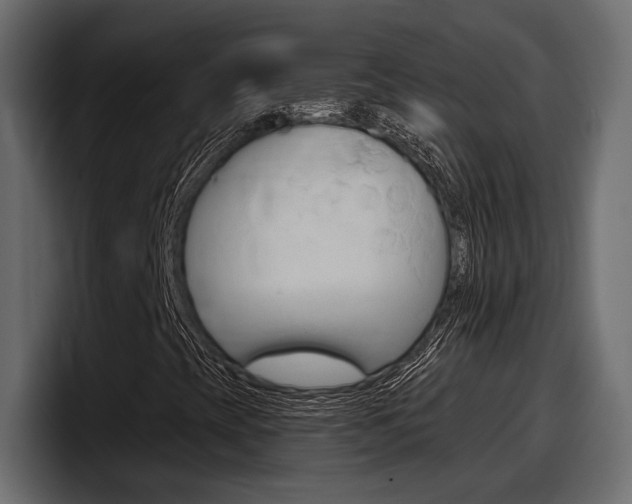 X0000098051393200803280721