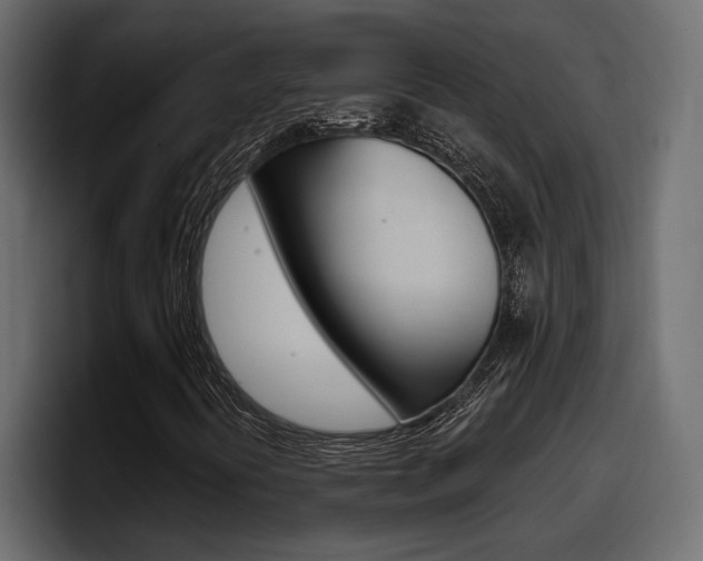 X0000098051394200803280721
