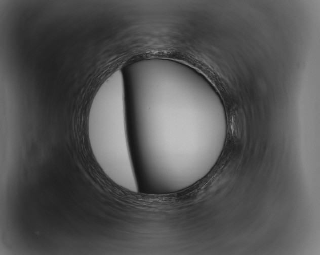 X0000098051396200803280721
