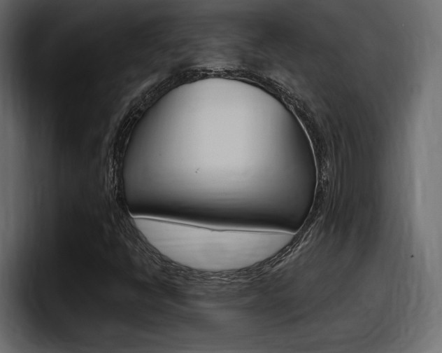 X0000098051398200803280721