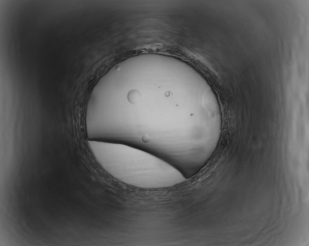 X0000098051399200803280721