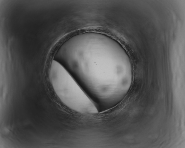 X0000098051400200803280721