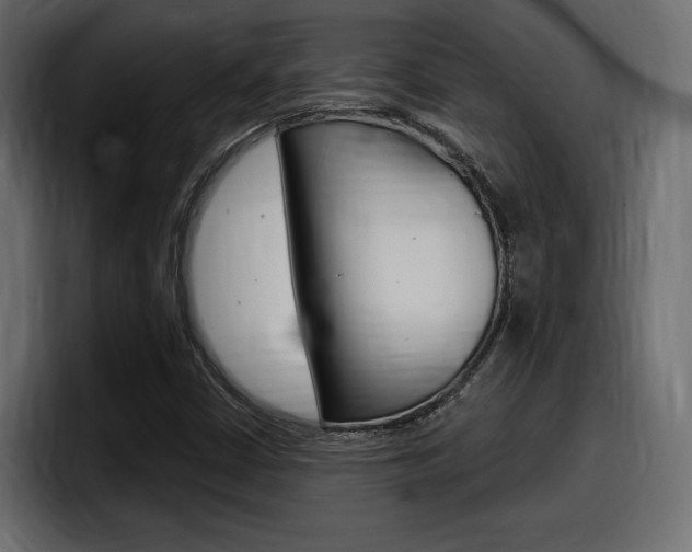 X0000098051402200803280721