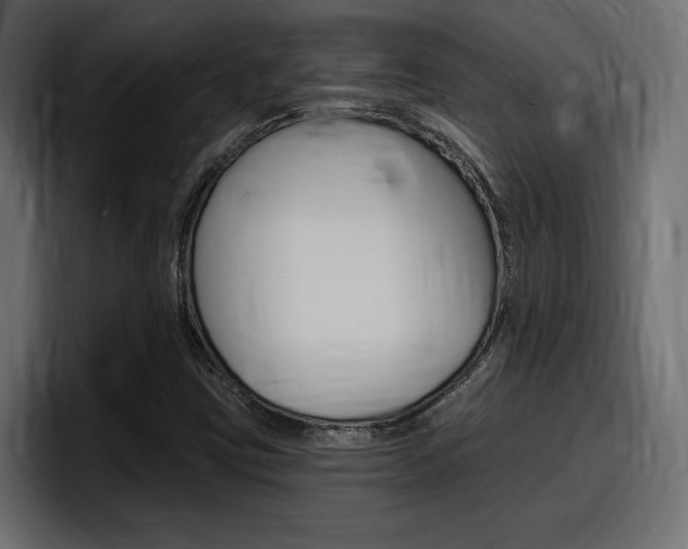X0000098051403200803280721