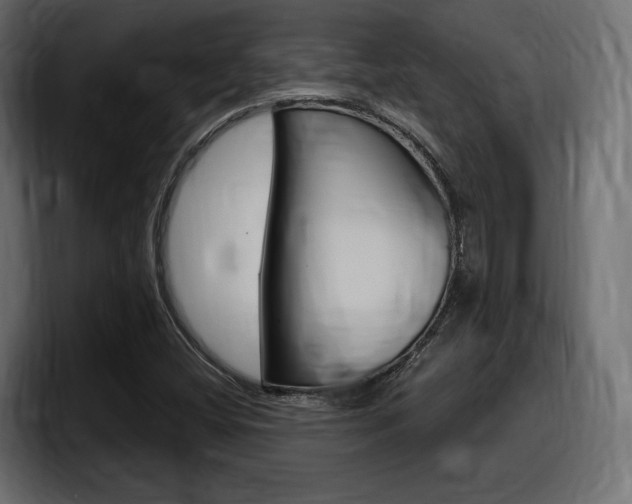 X0000098051404200803280721