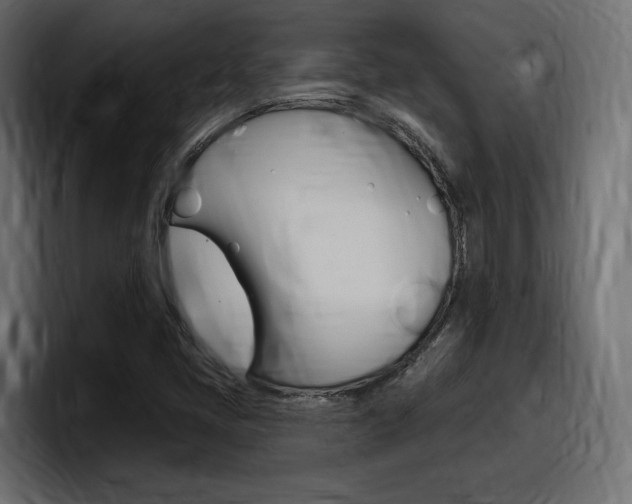 X0000098051405200803280721