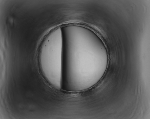 X0000098051406200803280721
