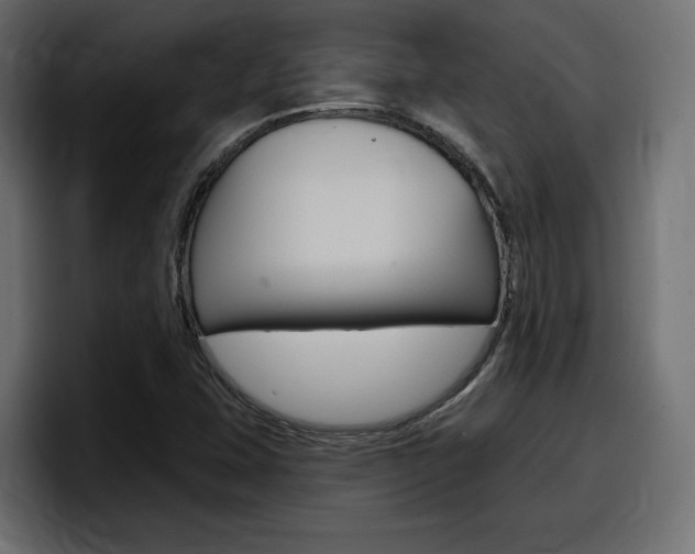 X0000098051407200803280721