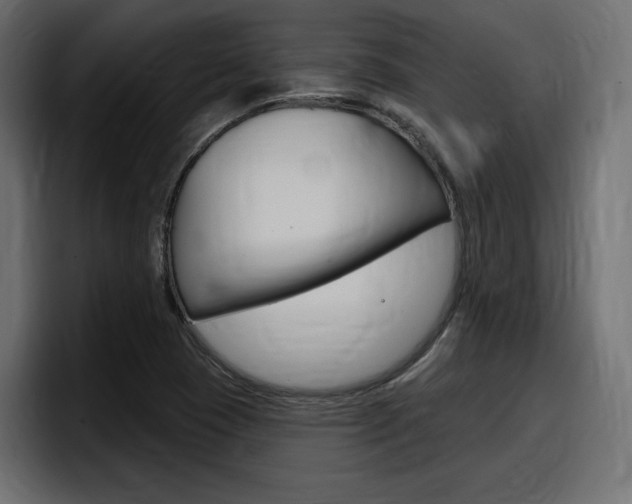 X0000098051409200803280721