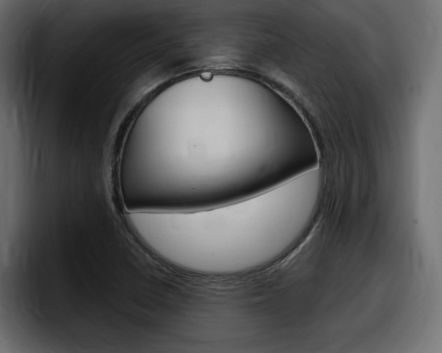 X0000098051410200803280721