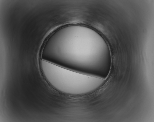 X0000098051412200803280721