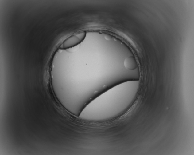 X0000098051413200803280721