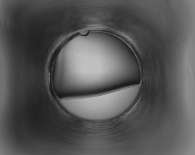 X0000098051414200803280721