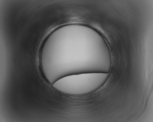 X0000098051415200803280721