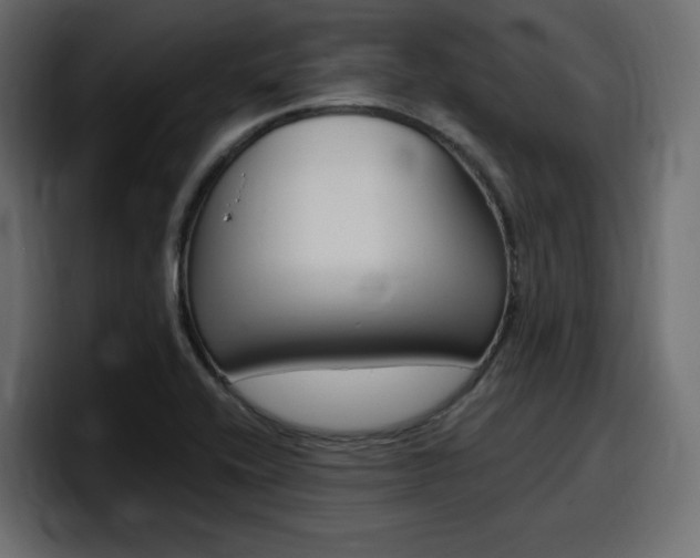 X0000098051416200803280721