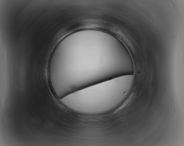 X0000098051417200803280721