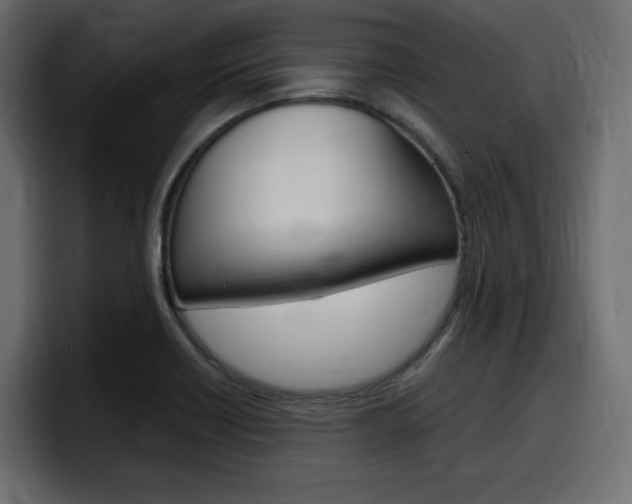 X0000098051418200803280721