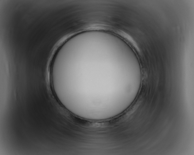 X0000098051419200803280721