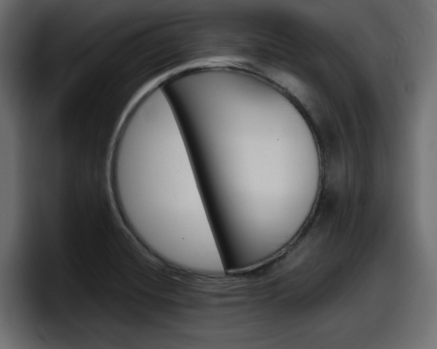 X0000098051420200803280721
