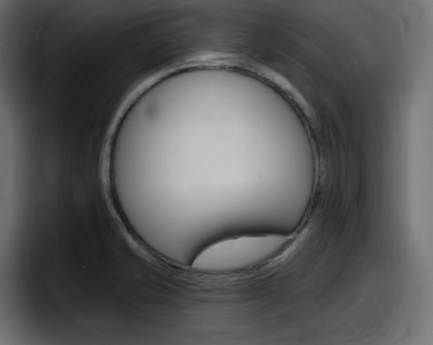 X0000098051421200803280721