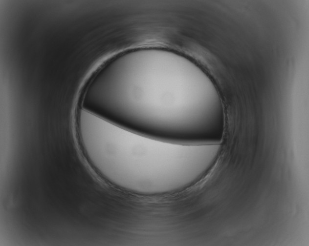 X0000098051422200803280721