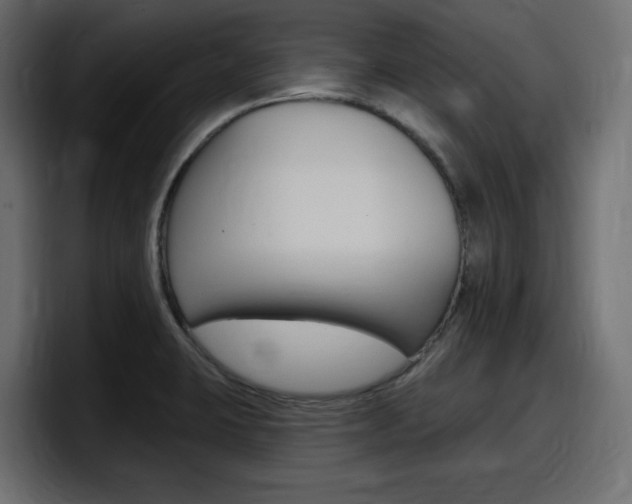 X0000098051423200803280721