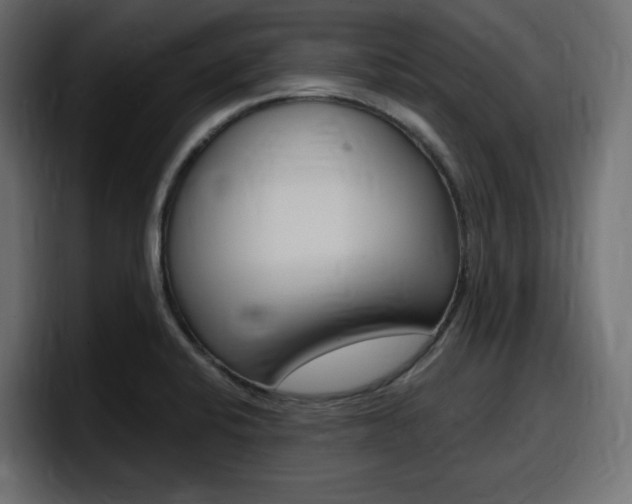 X0000098051424200803280721