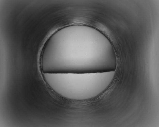 X0000098051427200803280721