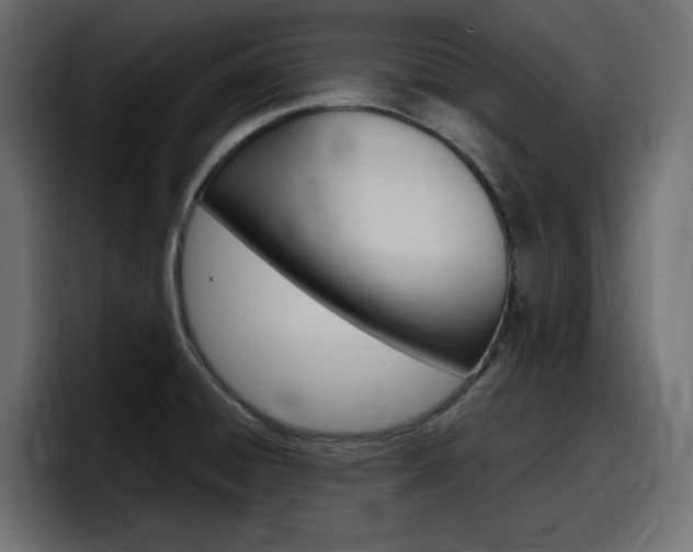 X0000098051428200803280721