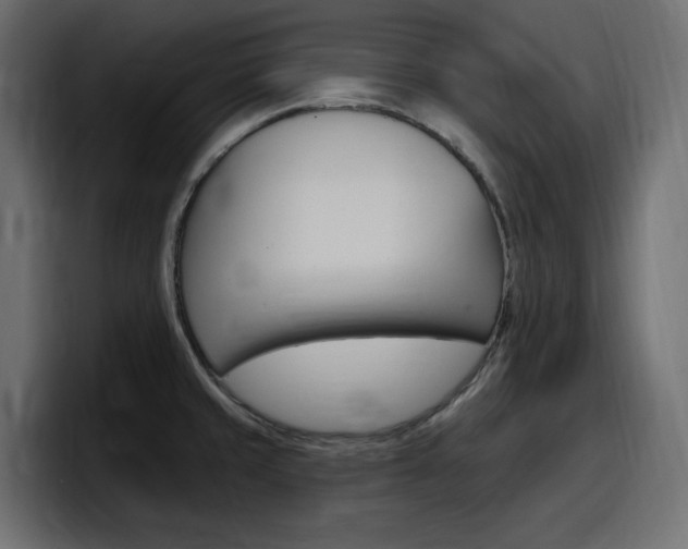 X0000098051429200803280721