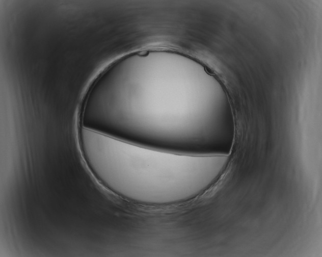 X0000098051430200803280721