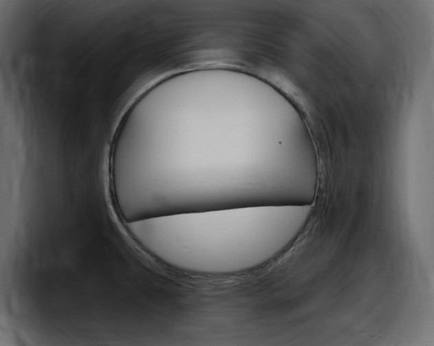 X0000098051431200803280721