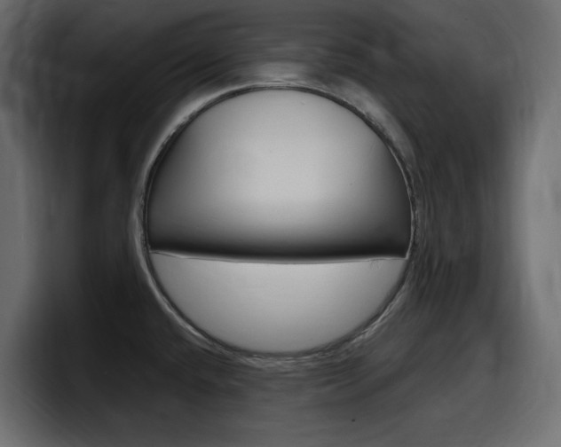 X0000098051432200803280721