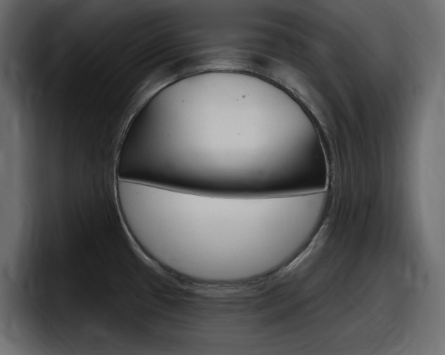 X0000098051433200803280721