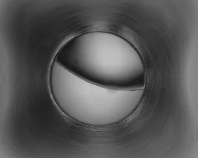X0000098051434200803280721