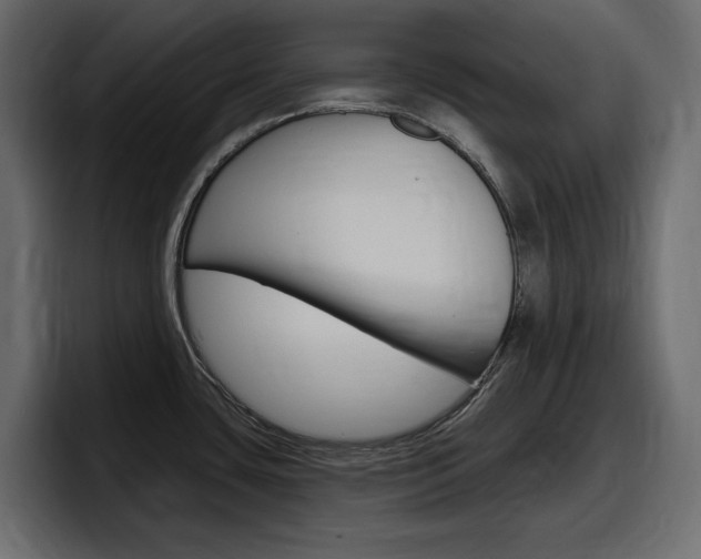 X0000098051435200803280721