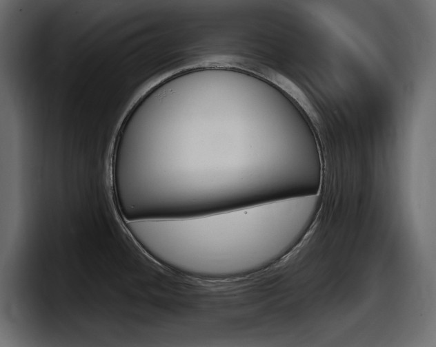 X0000098051436200803280721