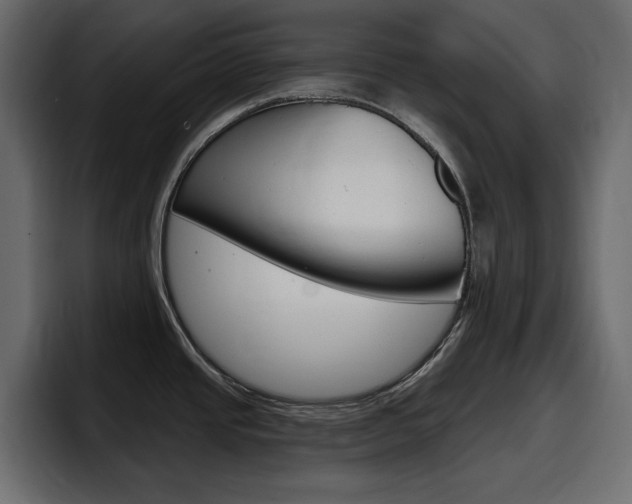 X0000098051437200803280721