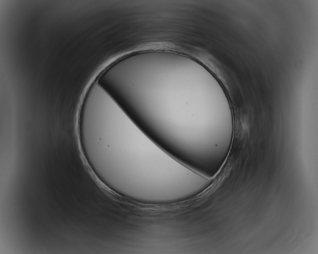 X0000098051438200803280721