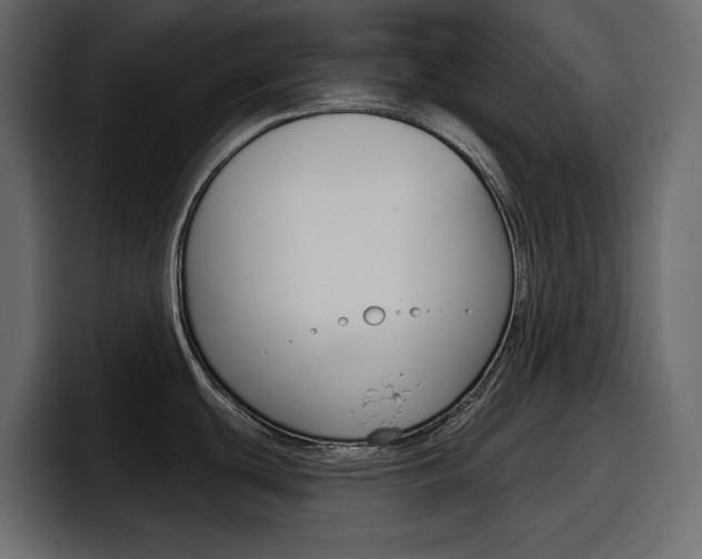 X0000098051439200803280721