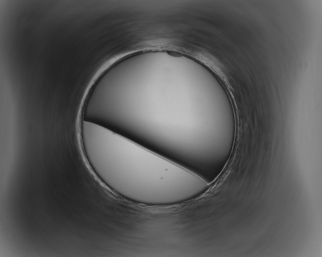 X0000098051440200803280721
